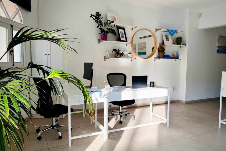 Organized home office desk laptop notebook plant