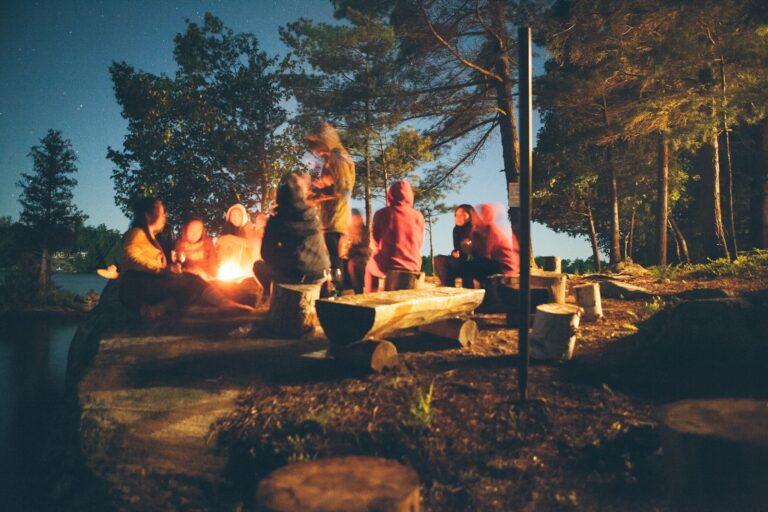 Campfire friends forest night