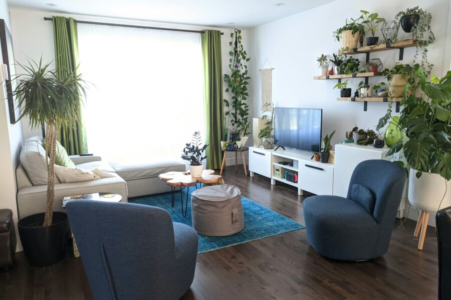 Organized living room shelves plants