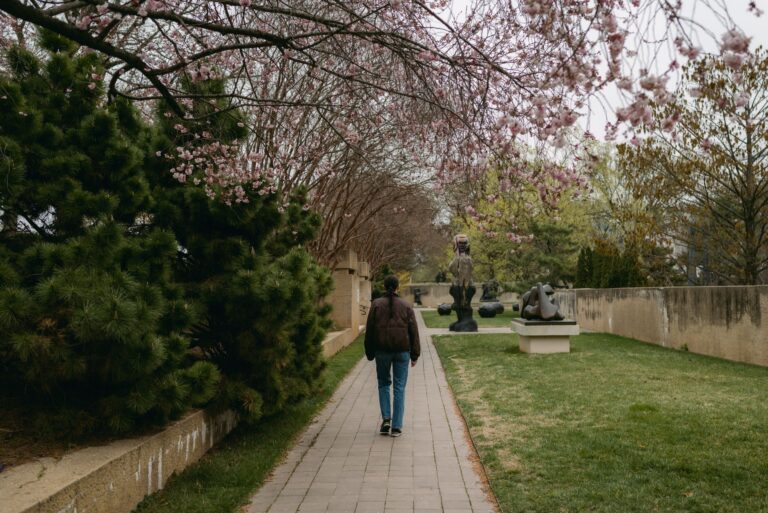 Walking path park