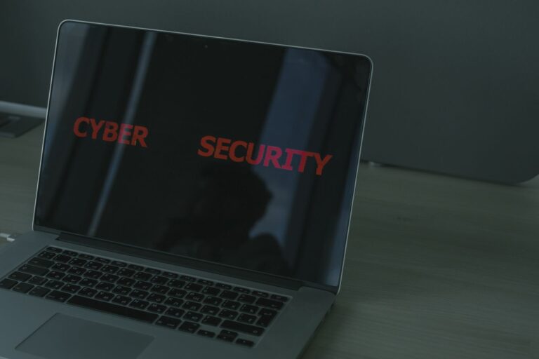 Password manager vault