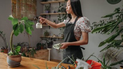 How to stop temperature swings from harming houseplants