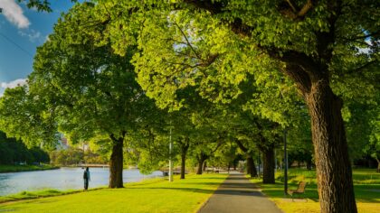 Simple nature walks on your trip: how to add a dose of green to any itinerary