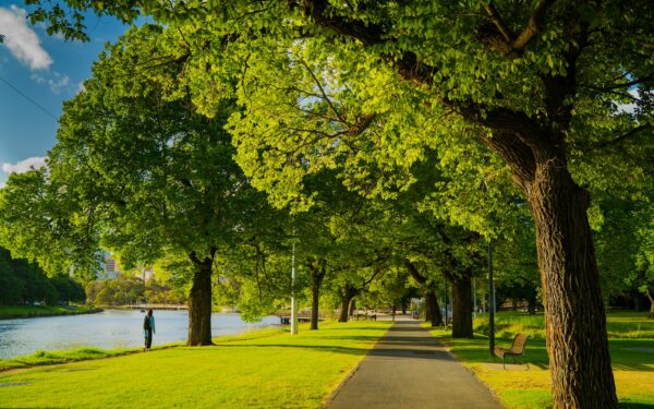 Simple nature walks on your trip: how to add a dose of green to any itinerary