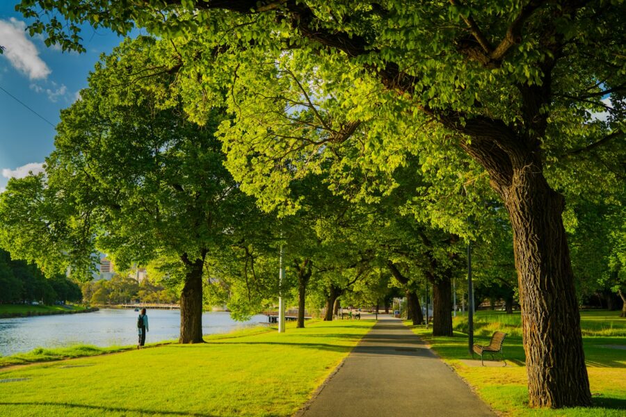 Traveler walking green