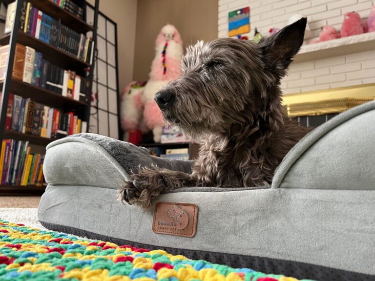 Pet bed corner