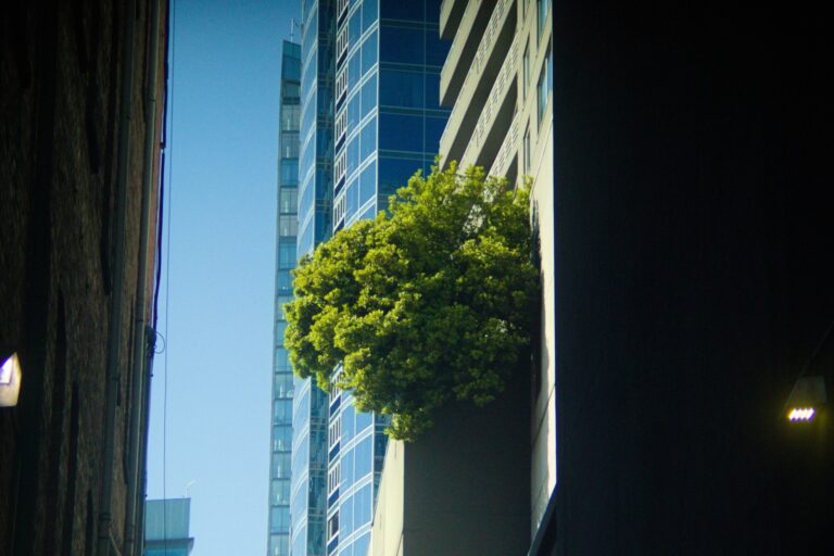 Narrow city balcony