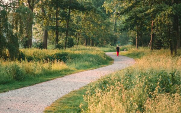 Mindful walking: a simple way to clear your head and care for your body