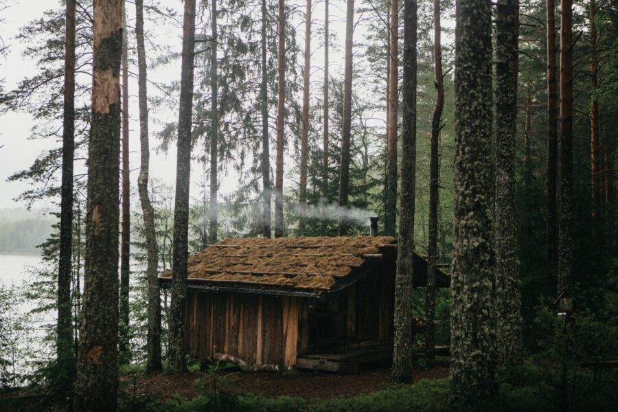 Small wooden cabin