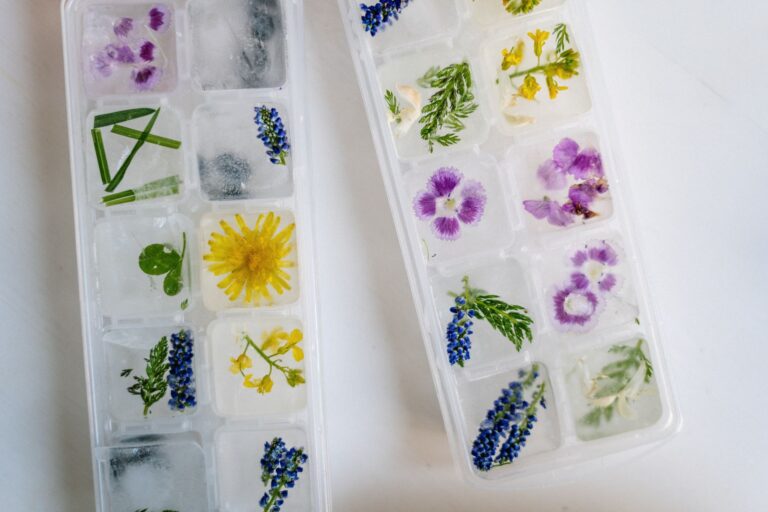 Freezer labels ice