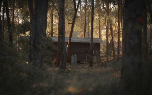 Simple nature stays: how to choose a peaceful place in nature that actually suits you