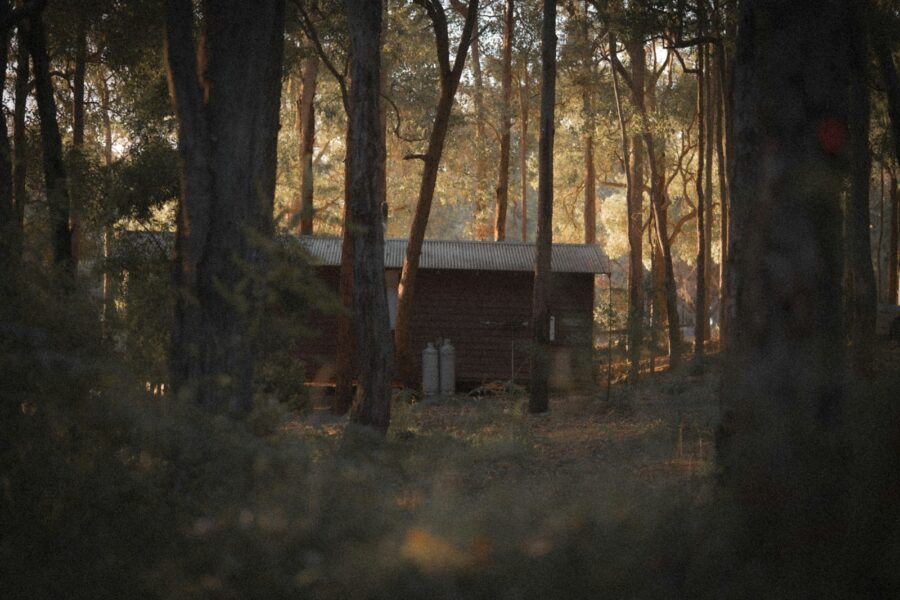Small wooden cabin