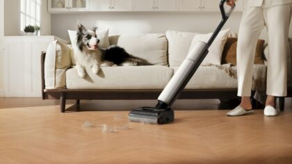 Simple pet-friendly cleaning tips that keep your home fresh without harsh products