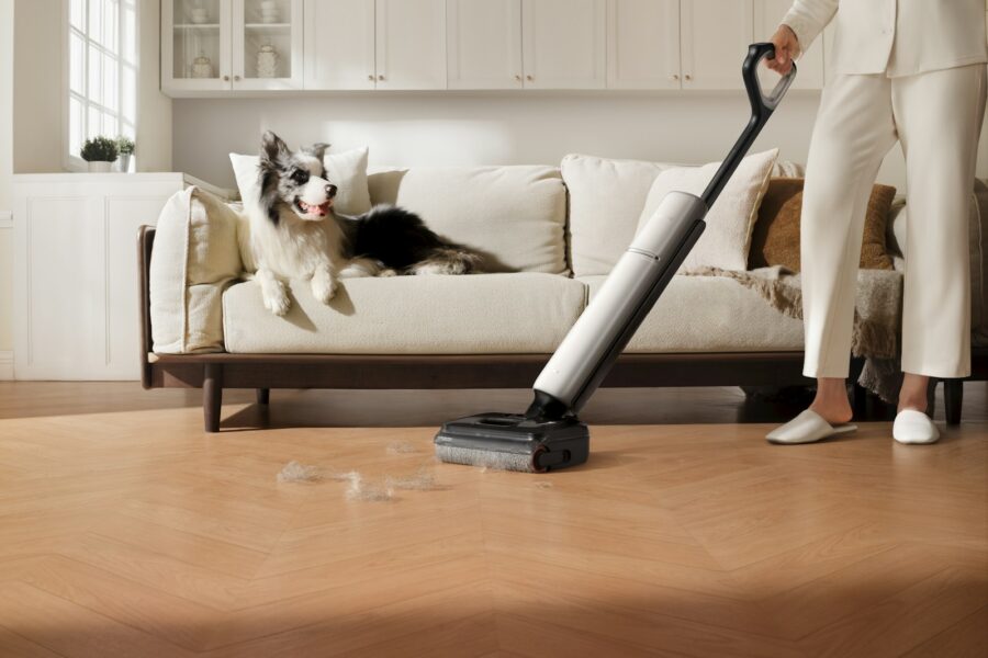 Cat dog sofa