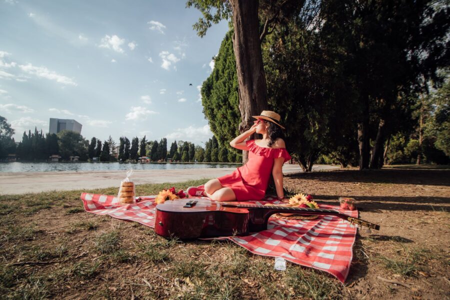 Summer park picnic