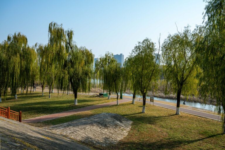 Urban riverside walking